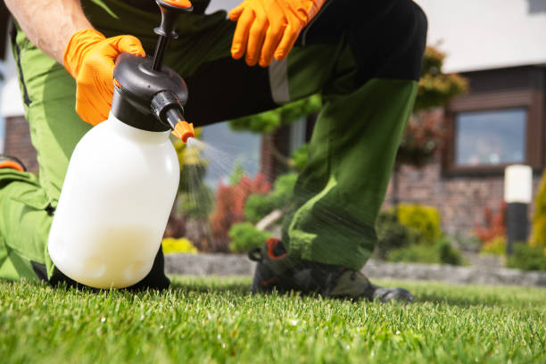 Best Termite Control Services  in Boyce, LA