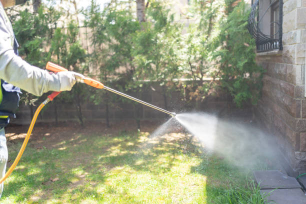 Best Best Pest Control Companies  in Boyce, LA