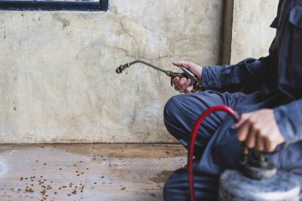 Best Pest Inspection Near Me  in Boyce, LA